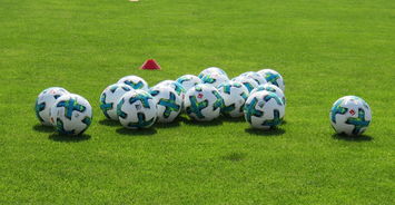 九游app官方下载-中国足球定位球得分能力研究，足球定位球技术