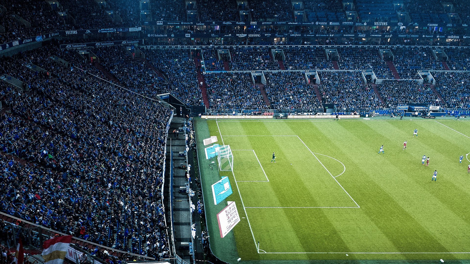 “新加坡游泳赛场：泳者挑战自我，争夺荣誉”