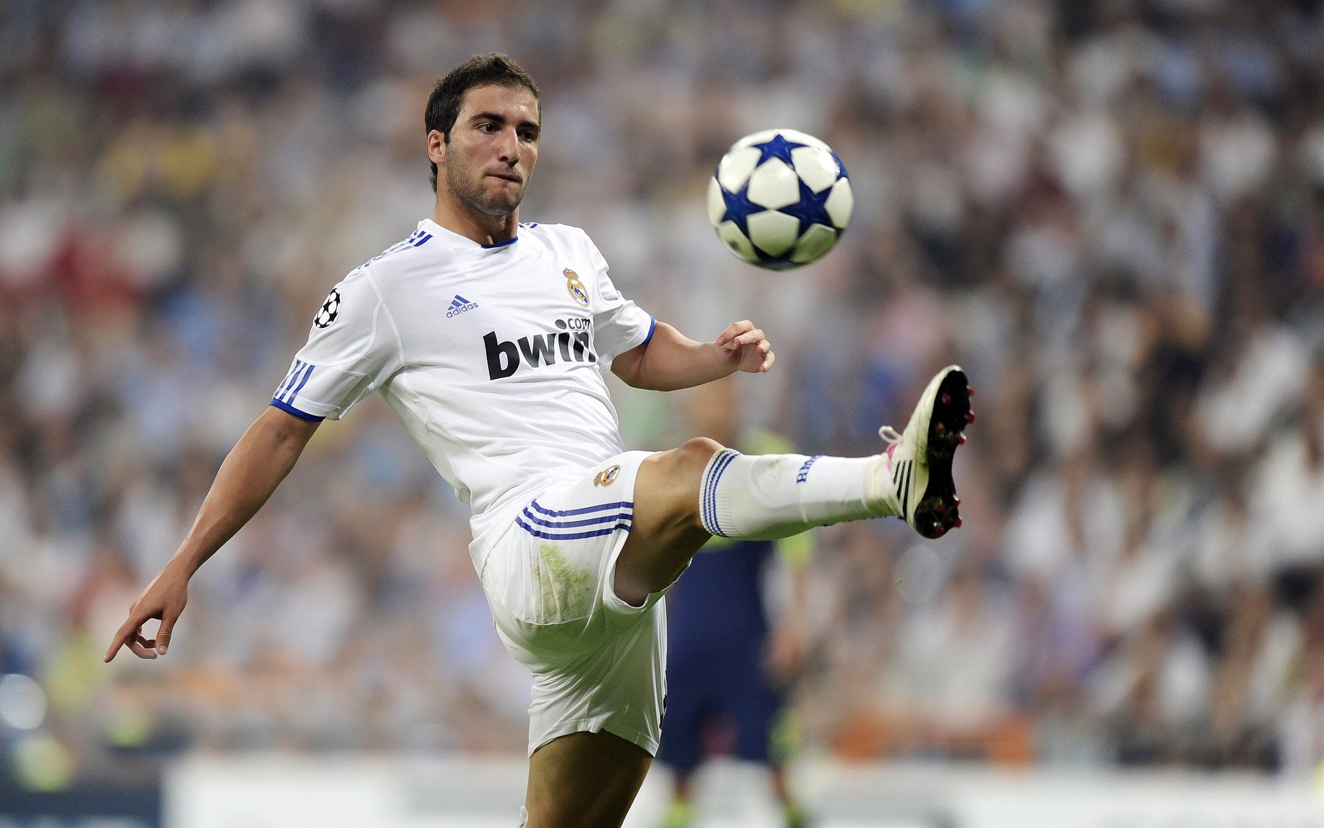 九游登录中心-斯图加特重视强度训练整体运行快速节奏，斯图加特是什么意思